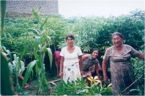 /Archivos/Fotos/27/Cuzco/huertos familiares.jpg